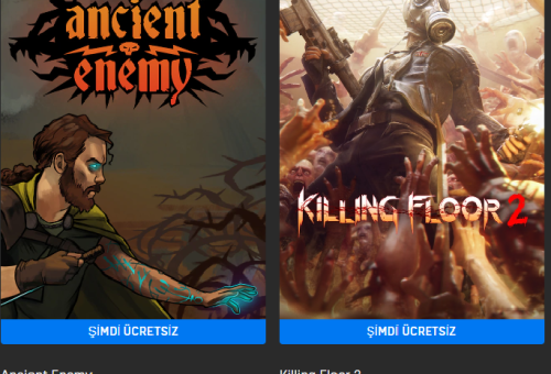 Epic Games Toplam 74₺ Değerinde İki Ücretsiz Oyun